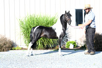 AJB_2284