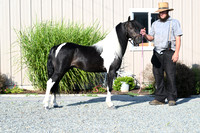 AJB_2292