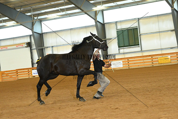 AJB_3263