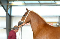 AJB_2961