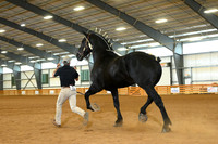 AJB_3286