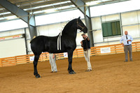 AJB_3337