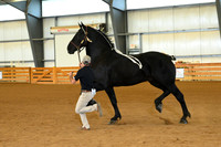 AJB_3343