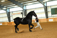 AJB_3317