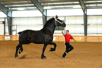 AJB_3086
