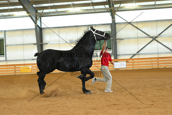AJB_3257