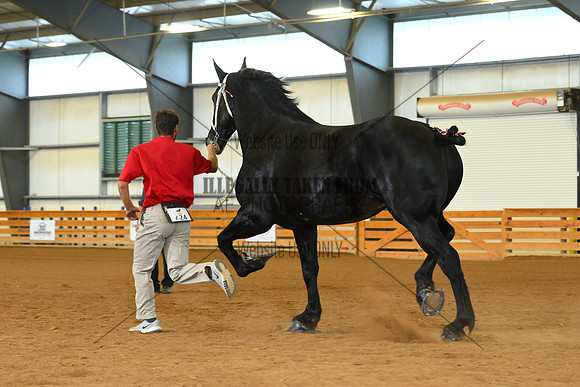 AJB_3356