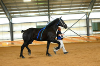 AJB_3325