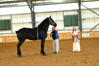 AJB_3335