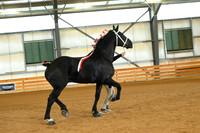 AJB_3306