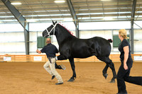 AJB_3051