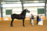 AJB_3055