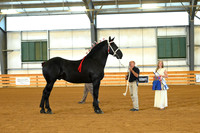 AJB_3057