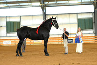 AJB_3058