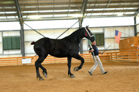 AJB_3166