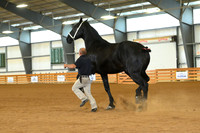 AJB_3167