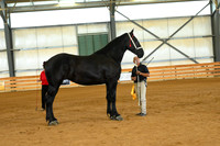 AJB_3218
