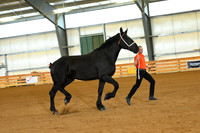 AJB_3191