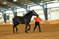 AJB_3195