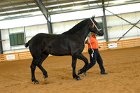 AJB_3196