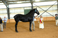 AJB_3217