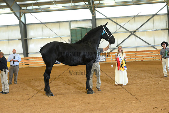 AJB_3217