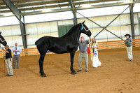 AJB_3216