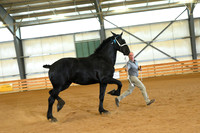 AJB_3267