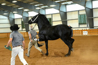 AJB_3268
