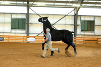 AJB_3158
