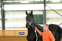 AJB_3161