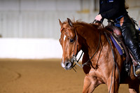 AJB_0594