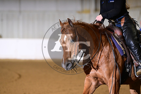 AJB_0594