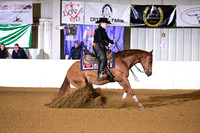 AJB_0595