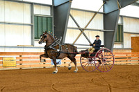 AJB_3591