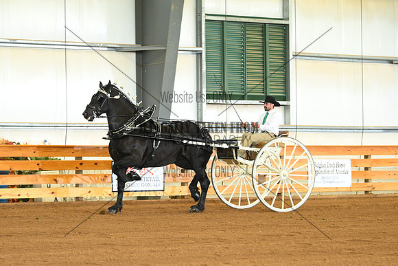 AJB_3446