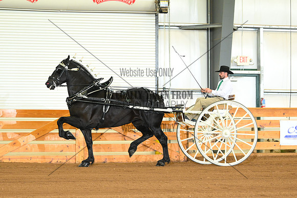 AJB_3447