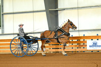 AJB_3532
