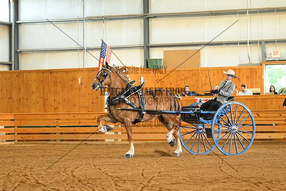 AJB_3489