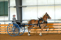 AJB_3632