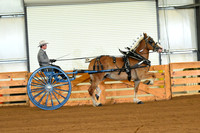 AJB_3633