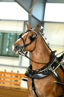 AJB_3540