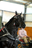 AJB_3541