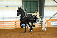 AJB_3784