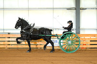 AJB_3437