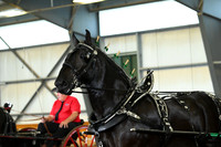 AJB_3477