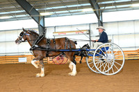 AJB_3673