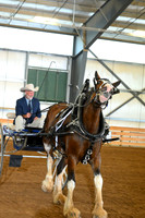AJB_3682