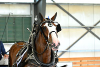 AJB_3683