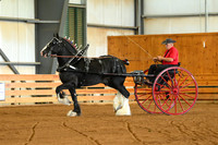 AJB_3438